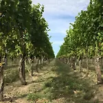 Ferien- Und Winzerhof Simon Freiburg im Breisgau