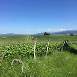 Lejlighed Ferien- Und Winzerhof Simon Freiburg im Breisgau