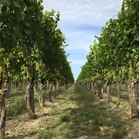 Ferien- Und Winzerhof Simon アパート *