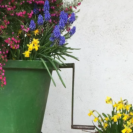 Ferien- Und Winzerhof Simon Appartement Fribourg im Breisgau