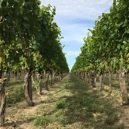 Ferien- Und Winzerhof Simon Fribourg im Breisgau