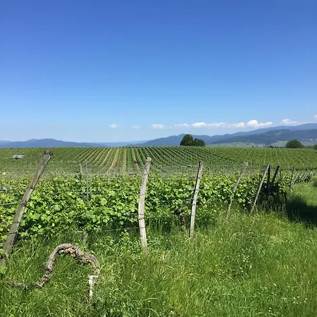 Appartement Ferien- Und Winzerhof Simon Fribourg im Breisgau