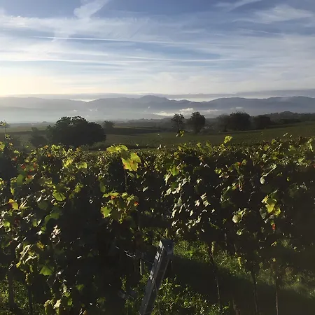 Ferien- Und Winzerhof Simon * Fribourg im Breisgau