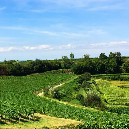 Ferien- Und Winzerhof Simon * Fribourg im Breisgau