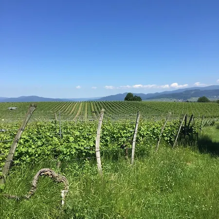 公寓 Ferien- Und Winzerhof Simon 弗赖堡