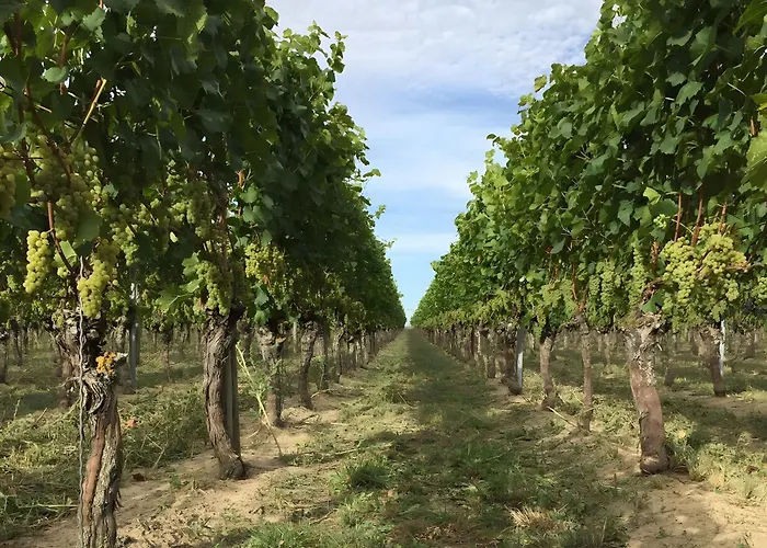 Ferien- Und Winzerhof Simon شقة *