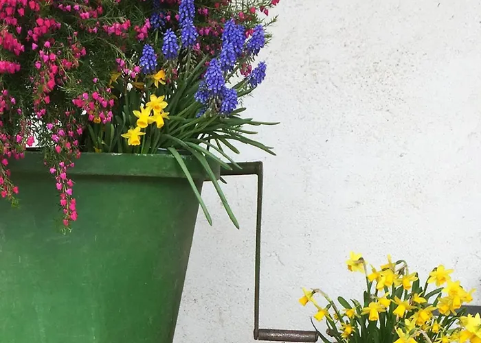 Ferien- Und Winzerhof Simon شقة فرايبورغ