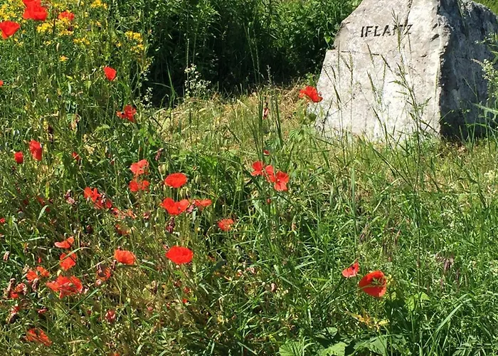 Ferien- Und Winzerhof Simon *