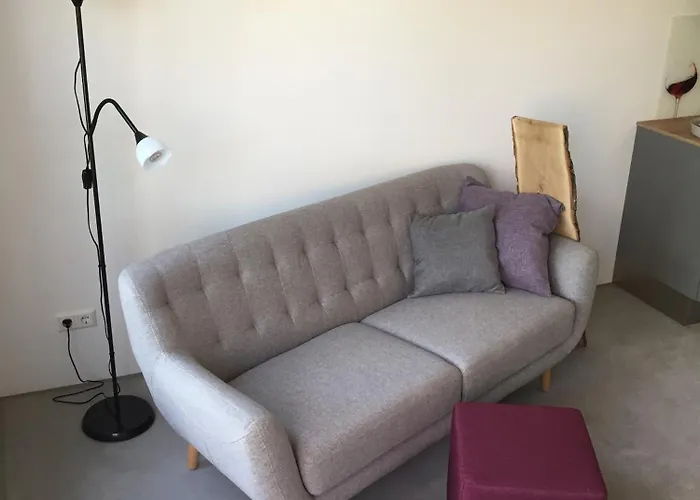 Ferien- Und Winzerhof Simon فرايبورغ