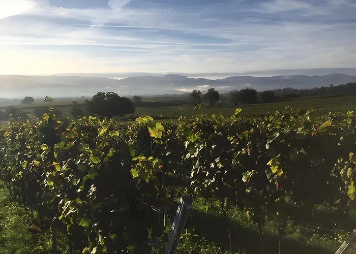 Ferien- Und Winzerhof Simon * فرايبورغ