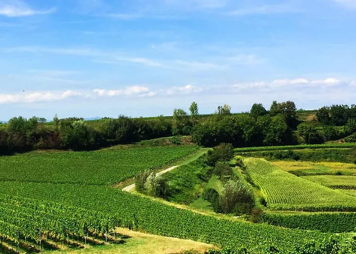 Ferien- Und Winzerhof Simon * فرايبورغ